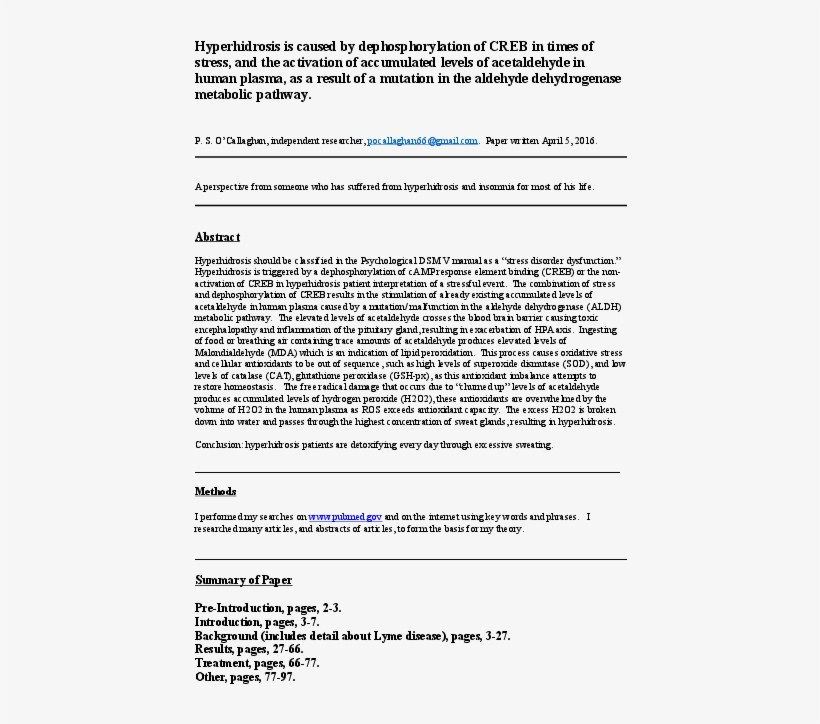 Doc - Hacer Un Informe De Tutoria Informe, transparent png download