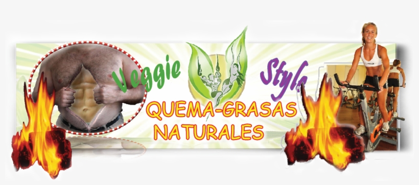 Png - Graphics, transparent png download