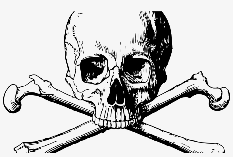 15 Skull And Bones Png For Free Download On Mbtskoudsalg - Skull And Bones, transparent png download