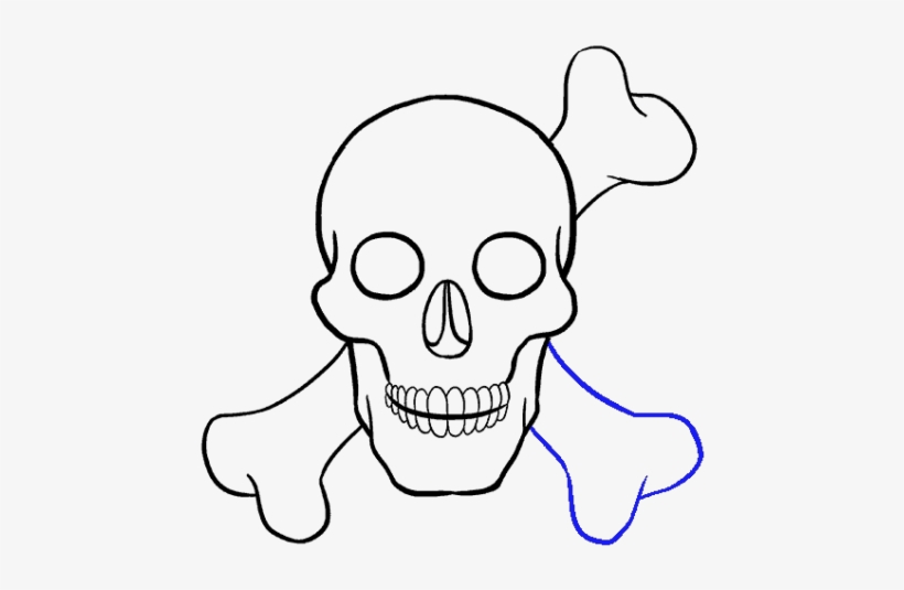 Skull Drawing - Draw A Skull, transparent png download