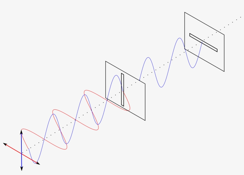 Every Polaroid Has A Pass Axis - Diagram, transparent png download