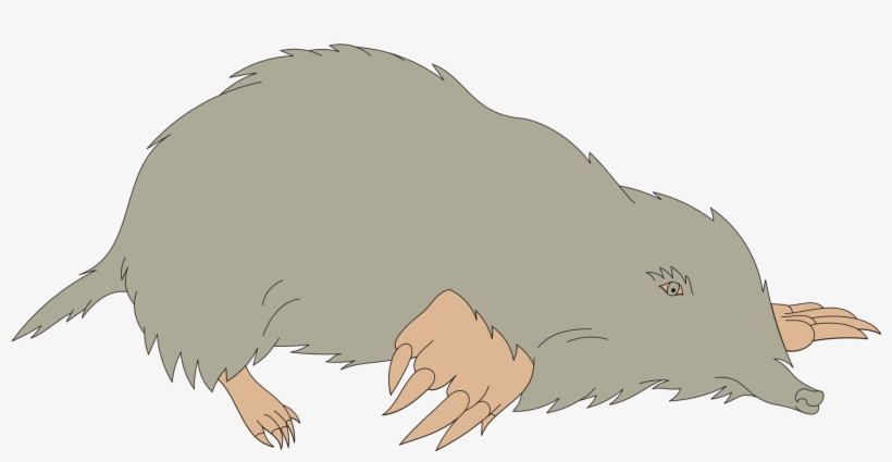 Clip Art Claw Transprent Png Free Download - Mole Clipart, transparent png download