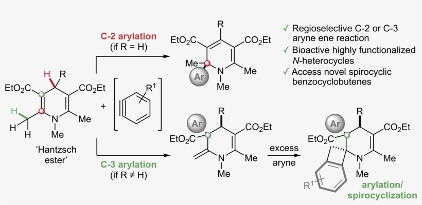 Thanks To David Palomas And Rachel Crespo-otero For - Diagram, transparent png download