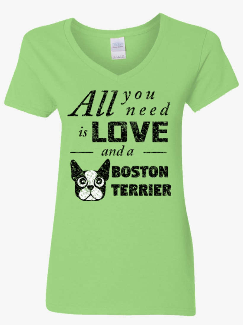 Ladies V Neck T Shirt All You Need Is Love, And A Boston - Love Poems For A Girl, transparent png download