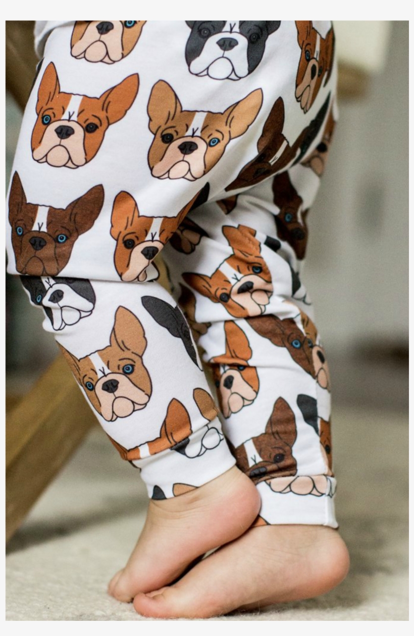 Boston Terrier Print Leggings - Board Short, transparent png download