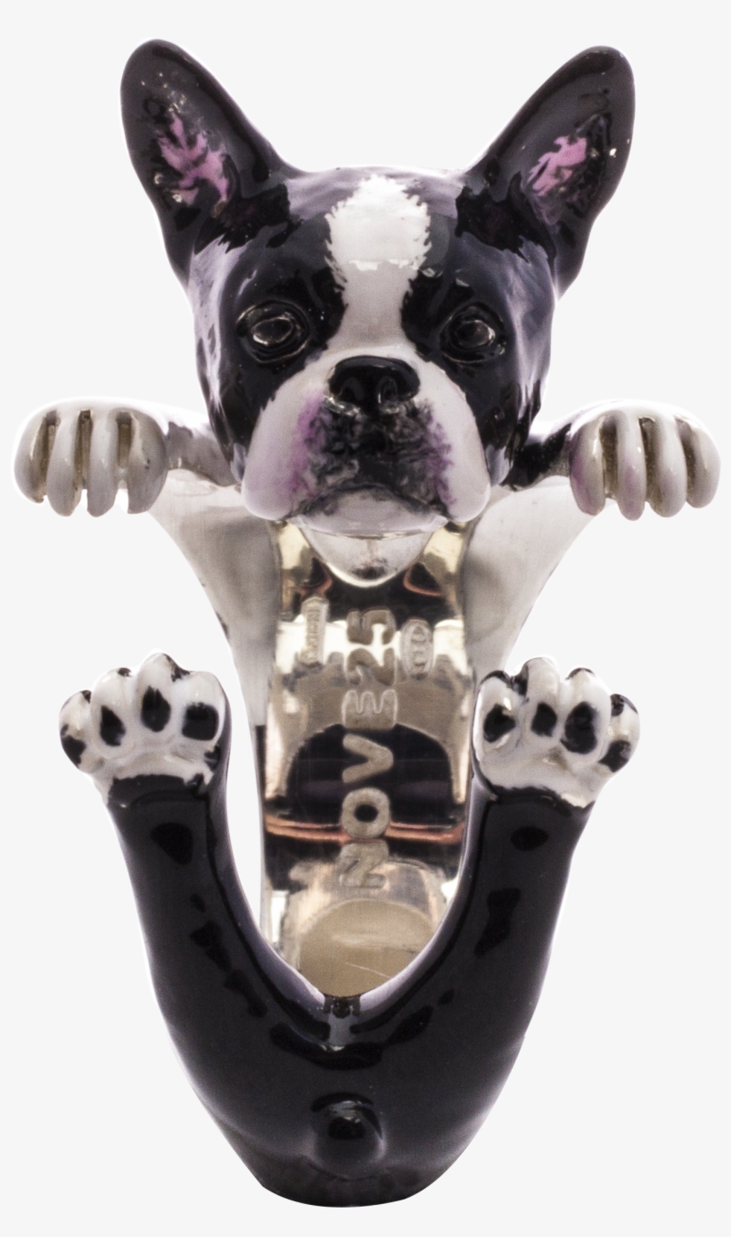 Boston Terrier, transparent png download