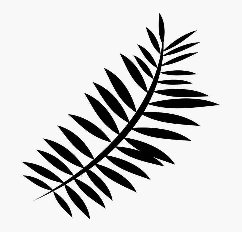 Ferns Huge Freebie Download For Powerpoint - Fern Silhouette Transparent, transparent png download