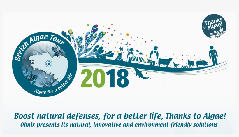 Olmix Algue, transparent png download