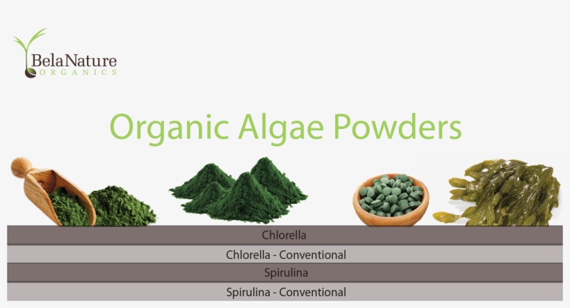 Algae Products - Fuel, transparent png download