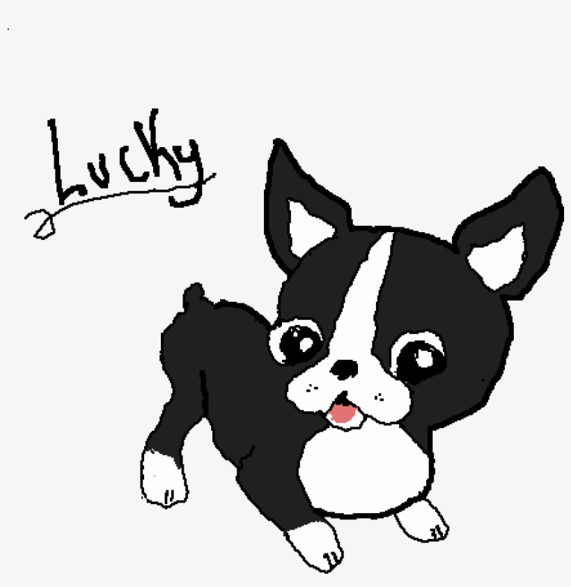 Lucky My Boston Terrier - Cute Kawaii French Bulldog, transparent png download