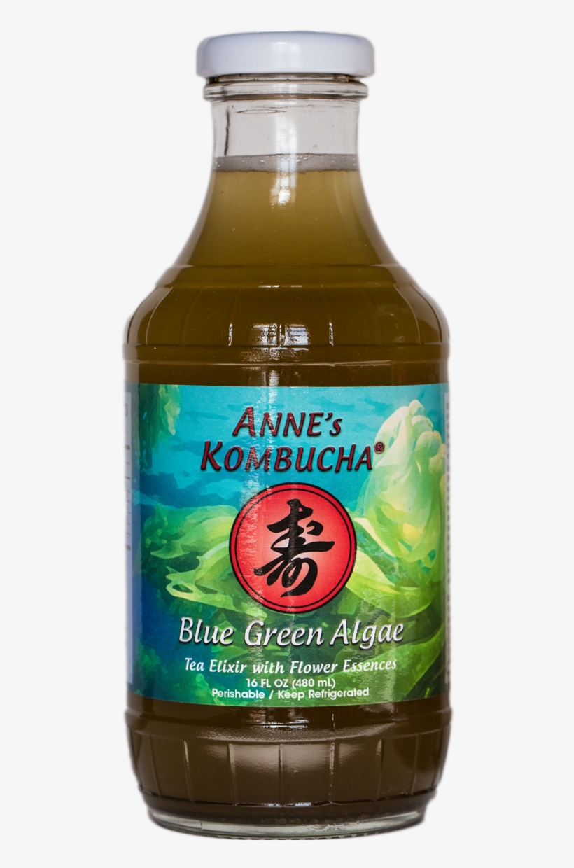 Reviews - Kombucha Algae, transparent png download