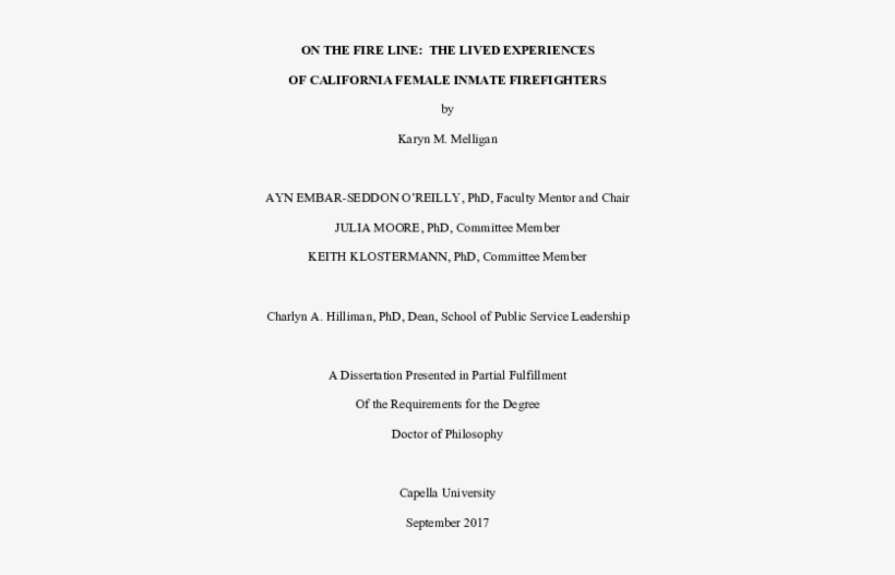 Pdf - Cerere Demisie Perioada De Proba, transparent png download