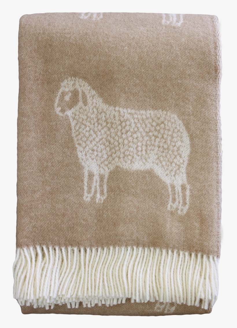 Sheep Wool Png - English Cocker Spaniel, transparent png download