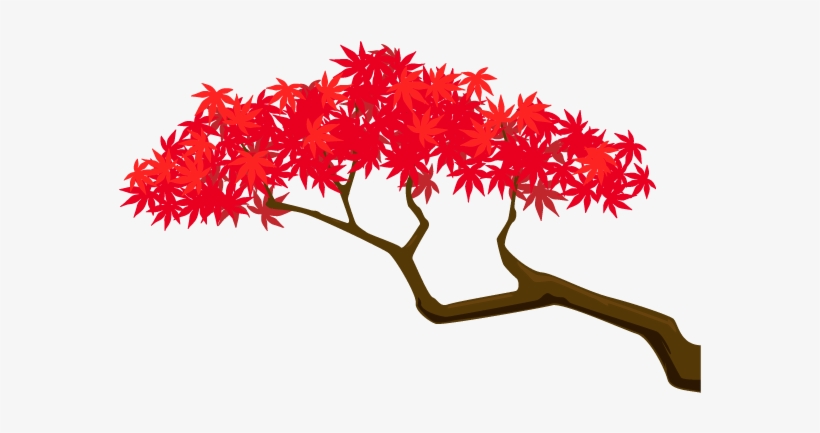 Plants Maple Tree Illustration Branch Free Clipart - Illustration, transparent png download
