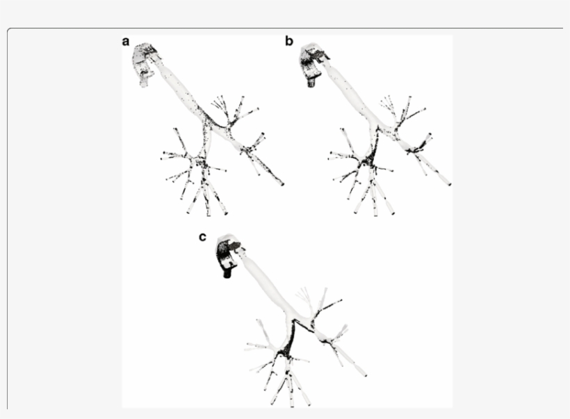 Particles Position After The End Of The Inhalation - Drawing, transparent png download