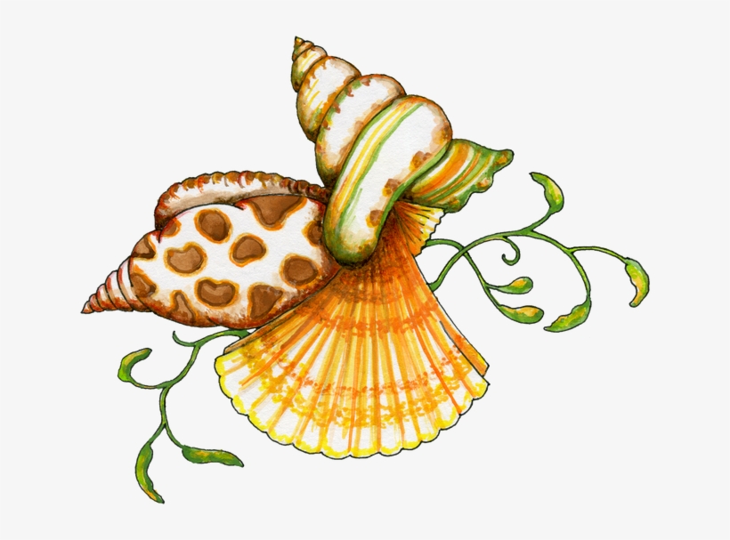 Sea Art, Paint Shop, Sea Creatures, Painted Shells, - Sea Shells Clip Art, transparent png download