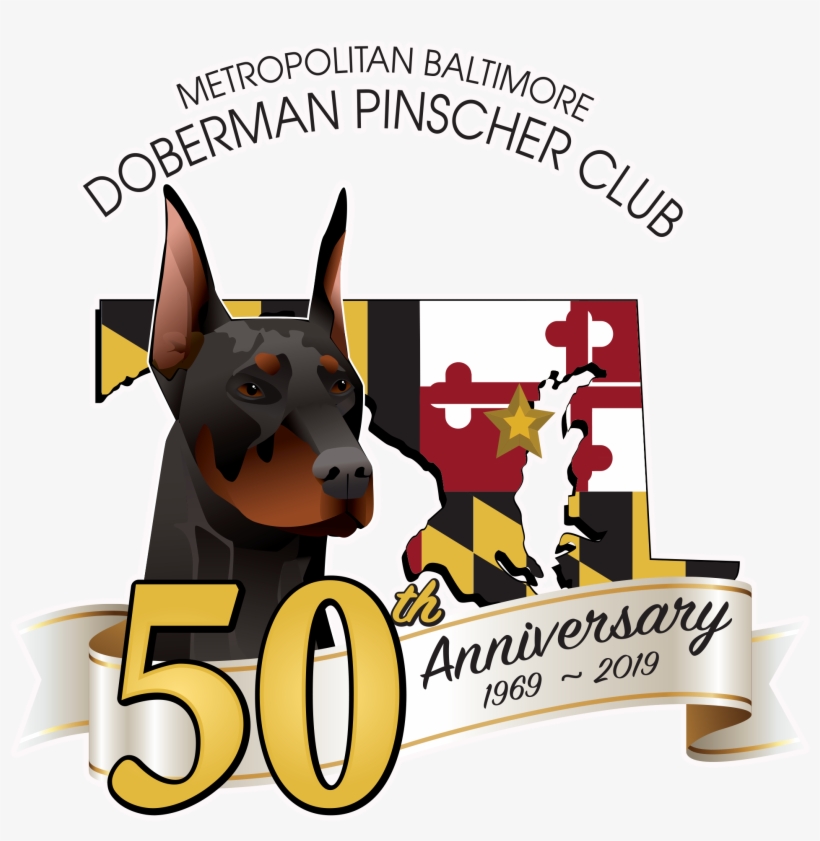 Metropolitan Baltimore Doberman Pinscher Club - Dobermann, transparent png download