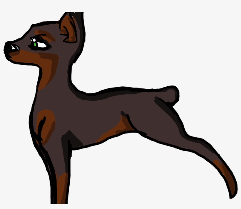 big miniature pinscher