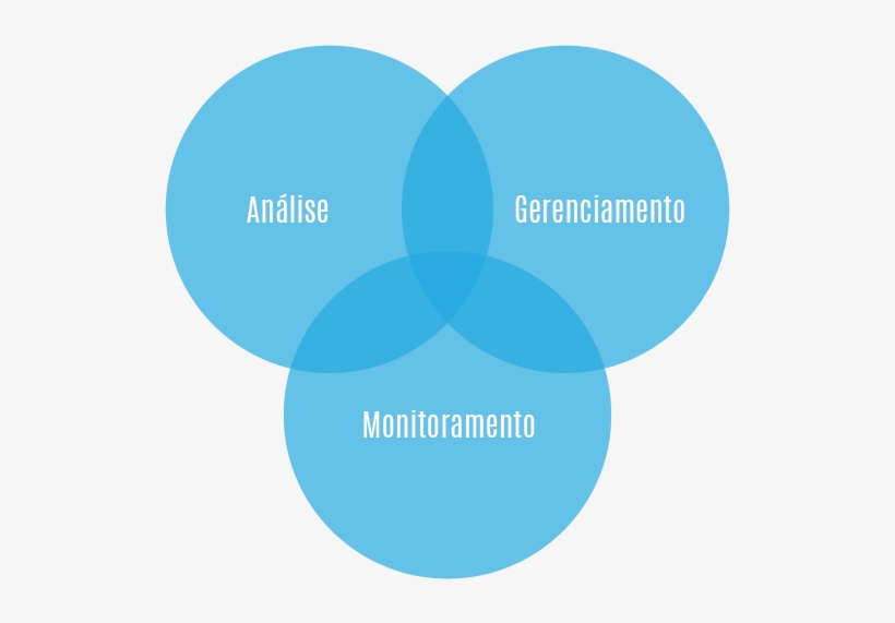 Como Montar Um Plano De Gerenciamento De Mídias Sociais - Circle, transparent png download
