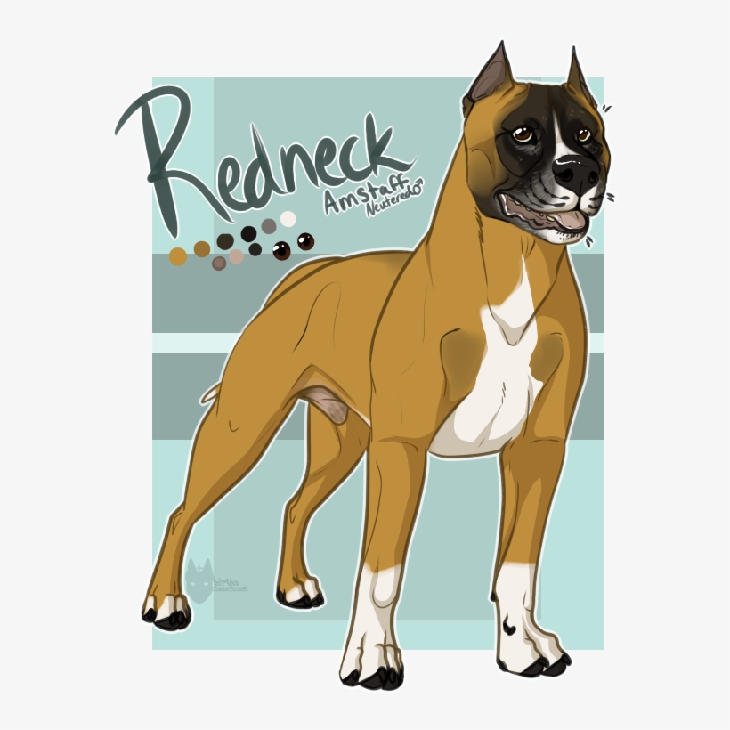 Boxer, transparent png download