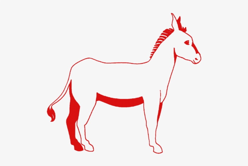 2020 Vision - Mane, transparent png download