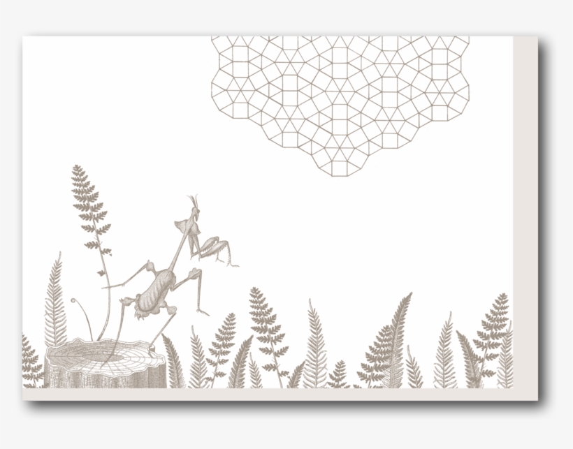 Geo Mantis - Illustration, transparent png download
