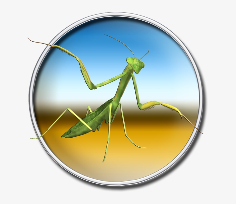Mantis Lod Editor 4 - Mantidae, transparent png download