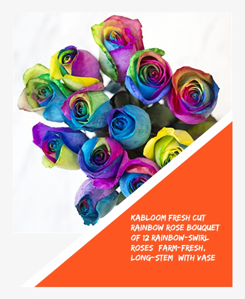 Kabloom Fresh Cut Rainbow Rose Bouquet Of 12 Rainbow - Rainbow Rose, transparent png download
