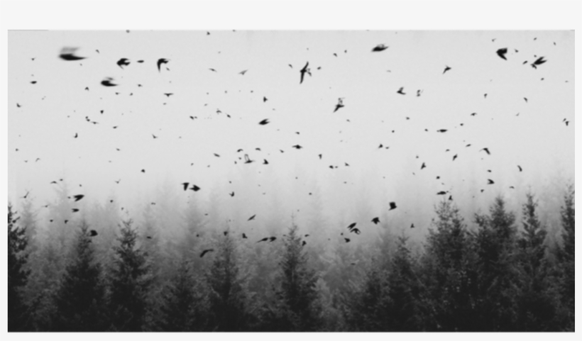 Report Abuse - Monochrome, transparent png download
