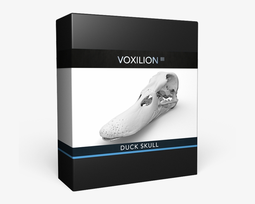 Duck Skull - Box, transparent png download