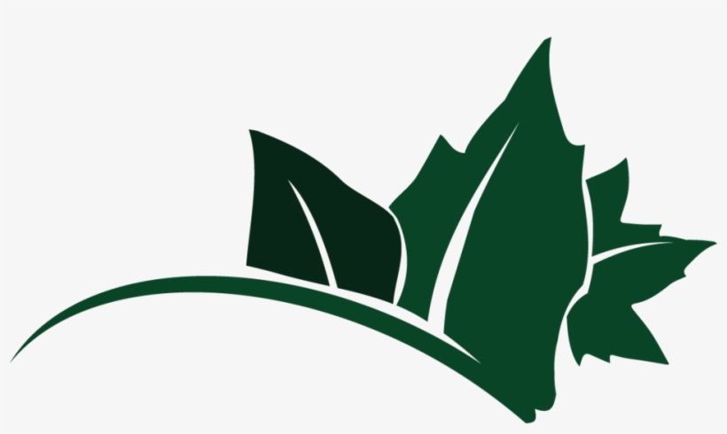 Png Transparent Leaf Logo W/out Text A Friend Design, transparent png download