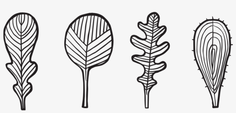 Leaf Logo Copy - Drawing, transparent png download