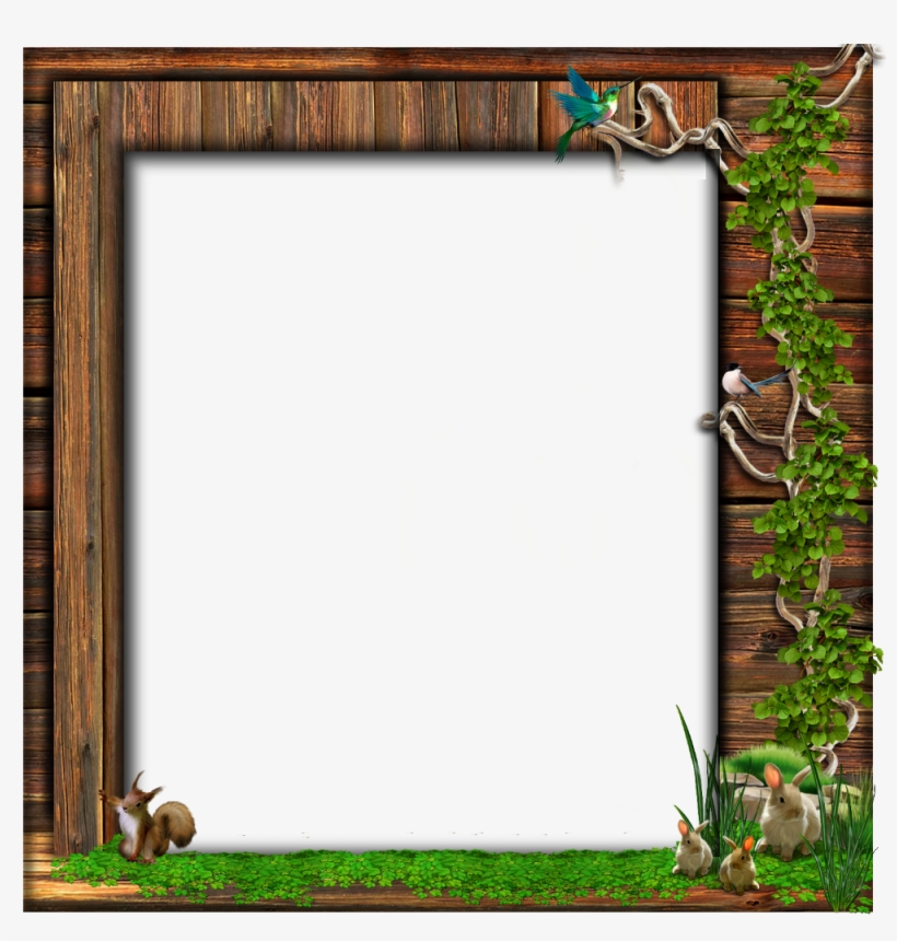 Cadre Nature Png - Cadre Animaux, transparent png download