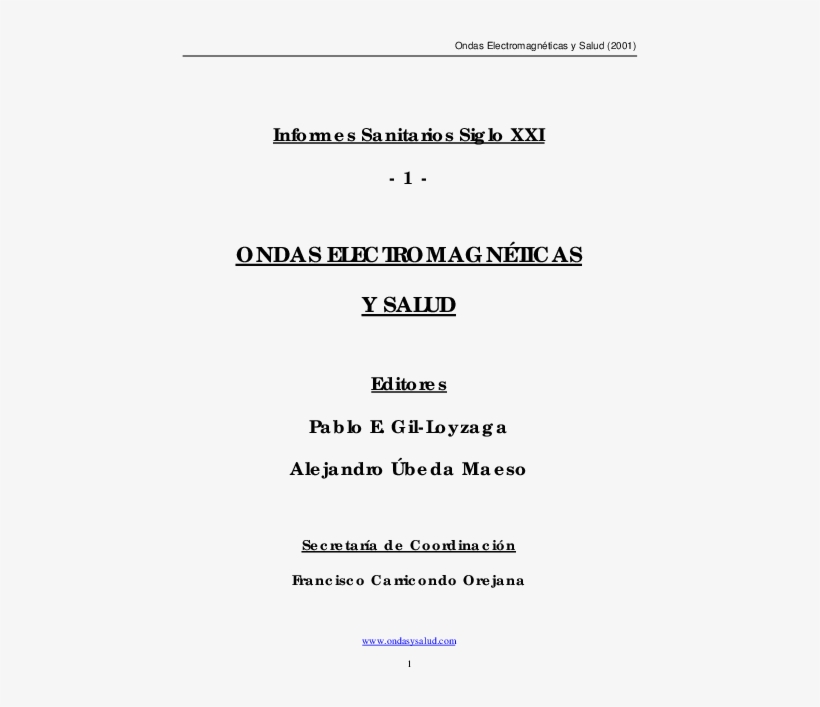 Pdf - Bacheloroppgave Bi, transparent png download