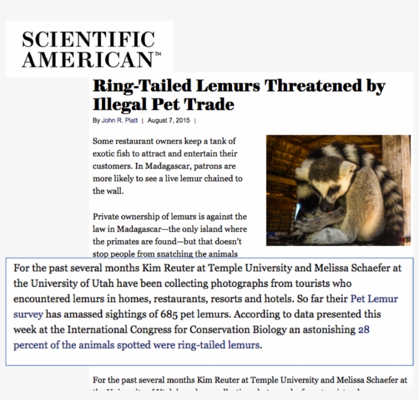 Pet Lemurs In Madagascar - Scientific American, transparent png download