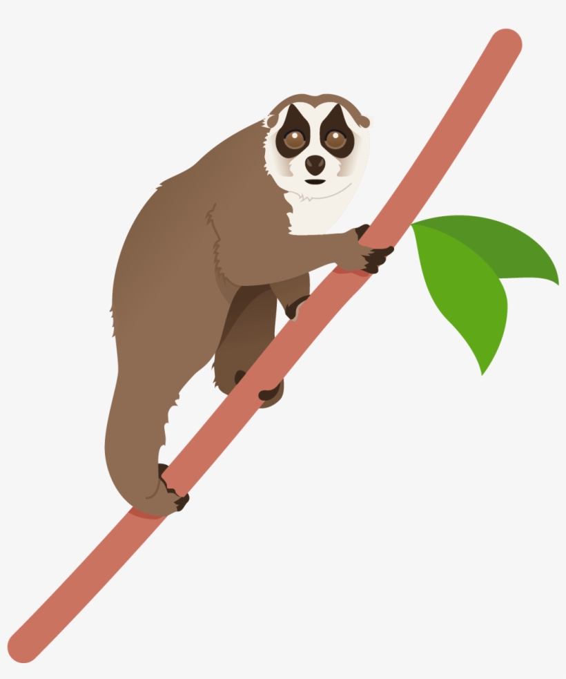 Lemur Poster - Cartoon, transparent png download