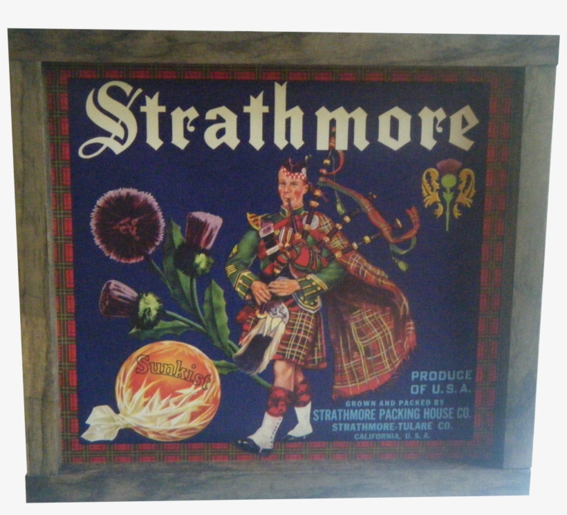 S Sunkist Oranges Label Sign Chairish - Advertising, transparent png download