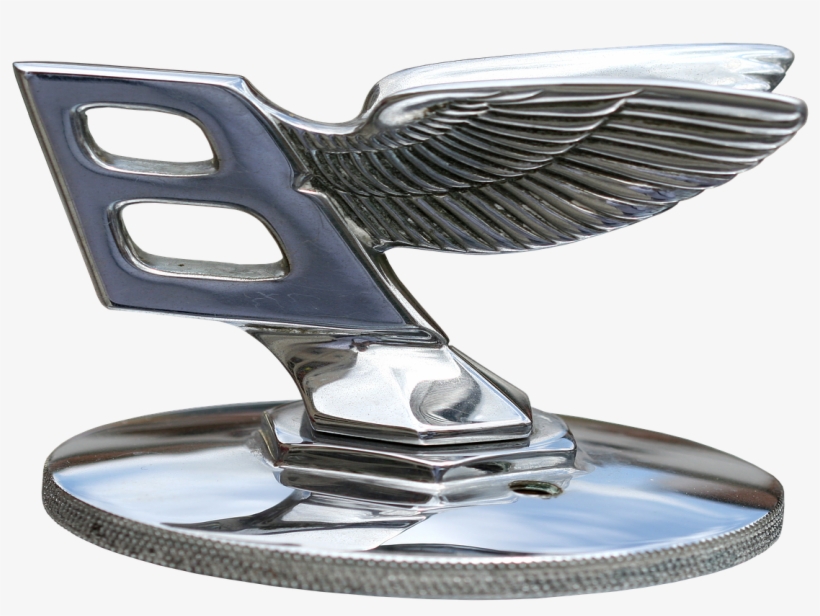 Cool - Shirt, transparent png download