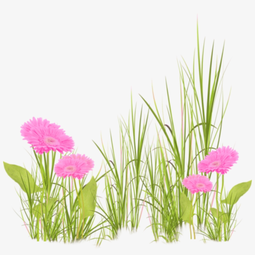 Grama De Flores Png, transparent png download