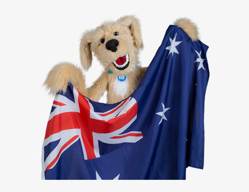 Visa-compliant Overseas Visitors Health Cover - Golden Retriever, transparent png download