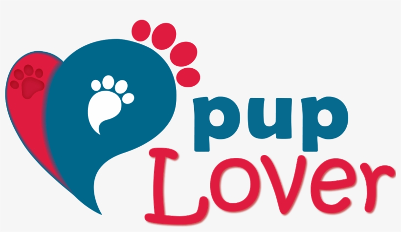 Logo-natal - Stock Photography, transparent png download