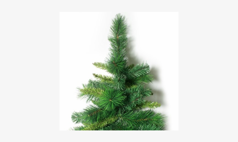As Bolas Coloridas Que Enfeitam Atualmente As Árvores - Christmas Tree, transparent png download