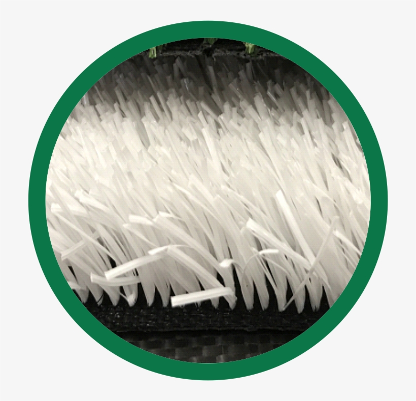 Grama Branca 30mm / 50mm - Circle, transparent png download