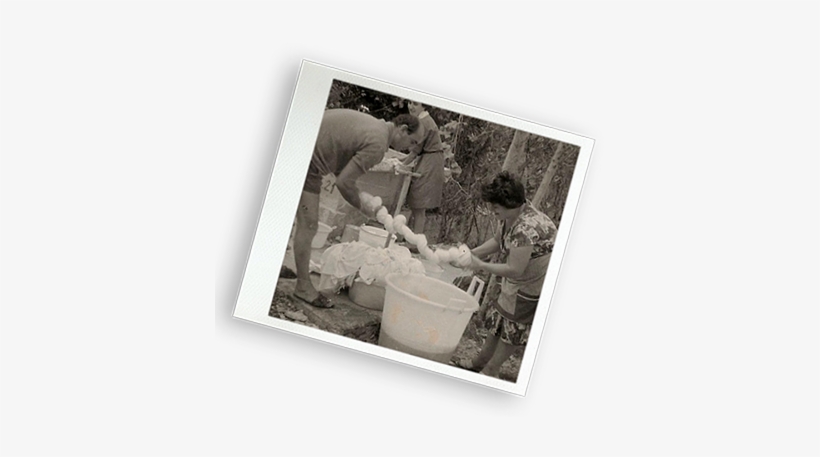 Photograph, transparent png download