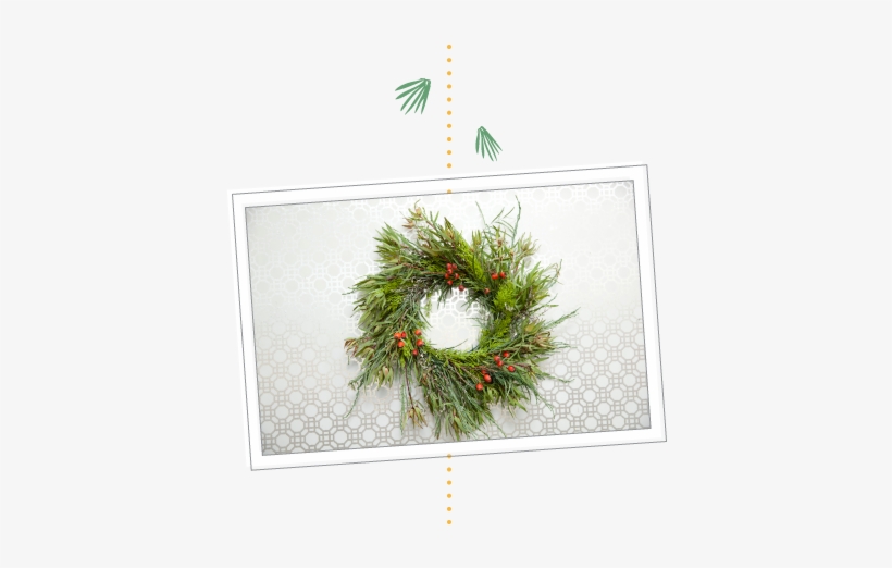 How To Make A Holiday Wreath Using Plants From Your - Hanging, transparent png download