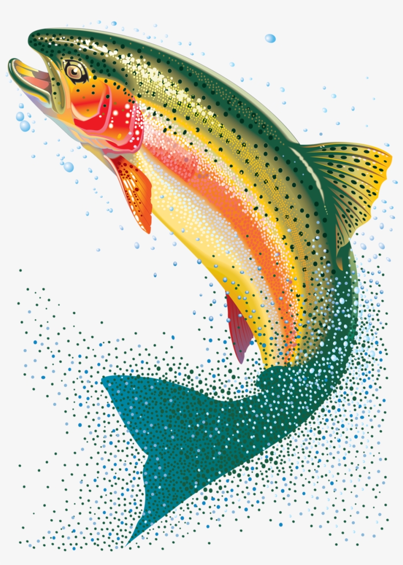 Яндекс - Фотки - Transparent Background Trout Clipart Png, transparent png download