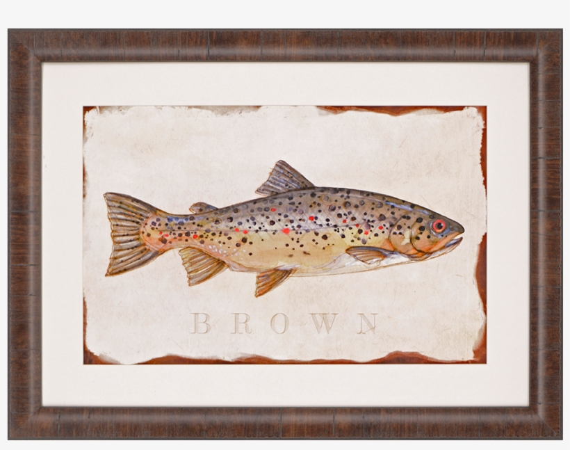 Brook Trout - Brook Trout Artwork, 38"x28", White, Posters, Prints,, transparent png download