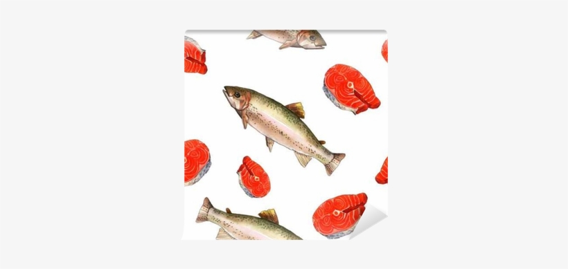 Sea Trout Fish - Watercolor Painting, transparent png download