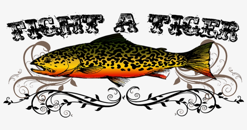 Very Few People Outside The Trout Fishing Community - Tiger Trout, transparent png download