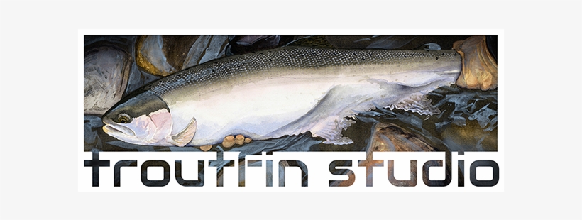 Troutfin Studio - Trout, transparent png download